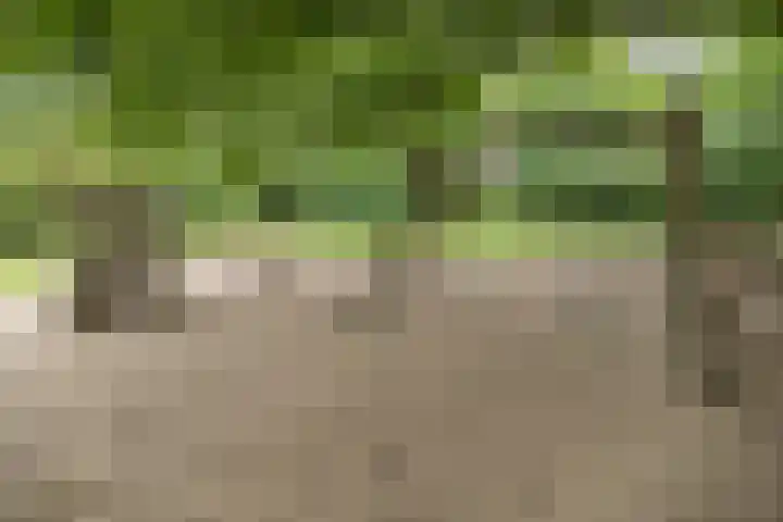 De Berken 39 Bussum thumbnail 26