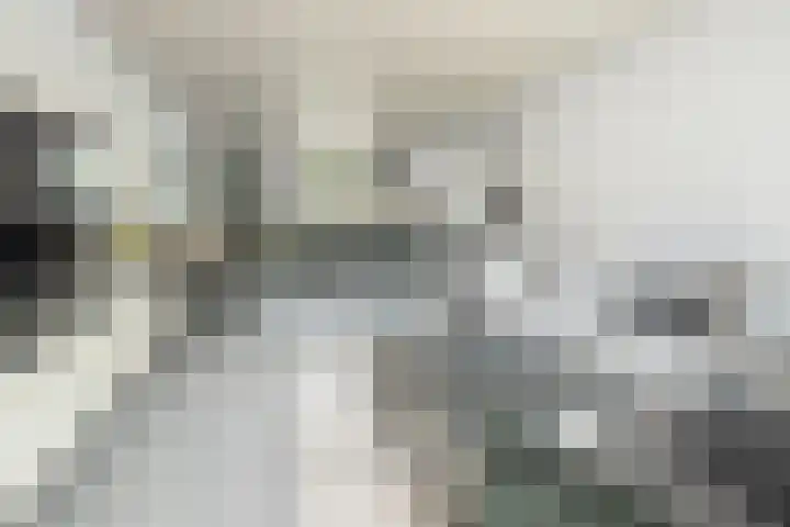 De Berken 39 Bussum thumbnail 8