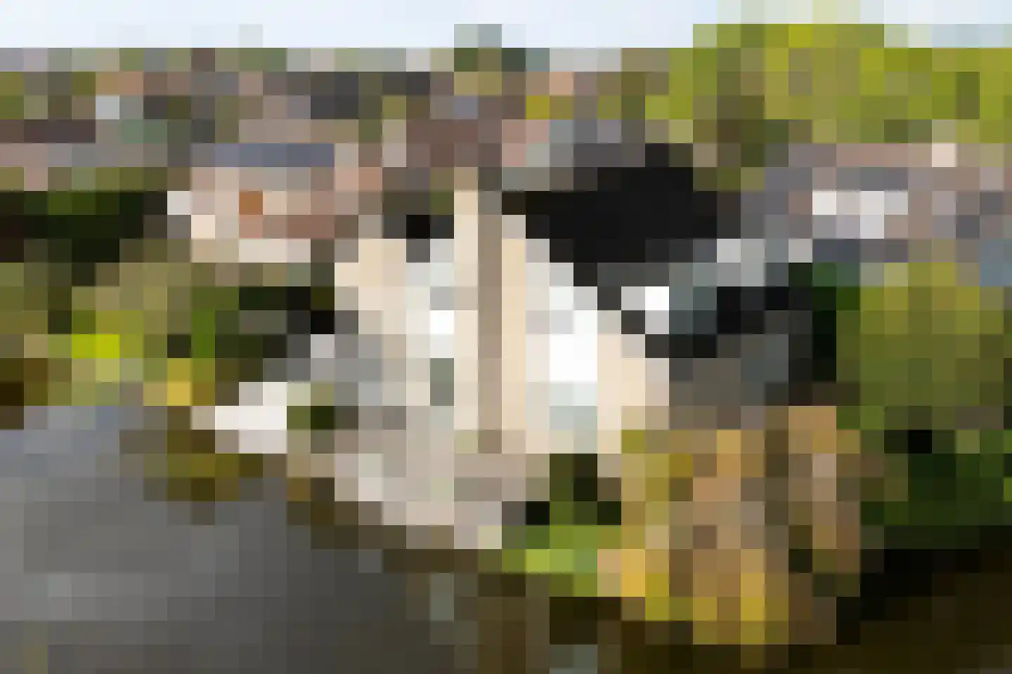 De Beugel 3 Reeuwijk thumbnail 50