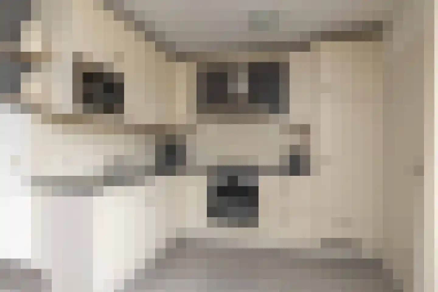 De Beugel 4 Hoogeveen thumbnail 4