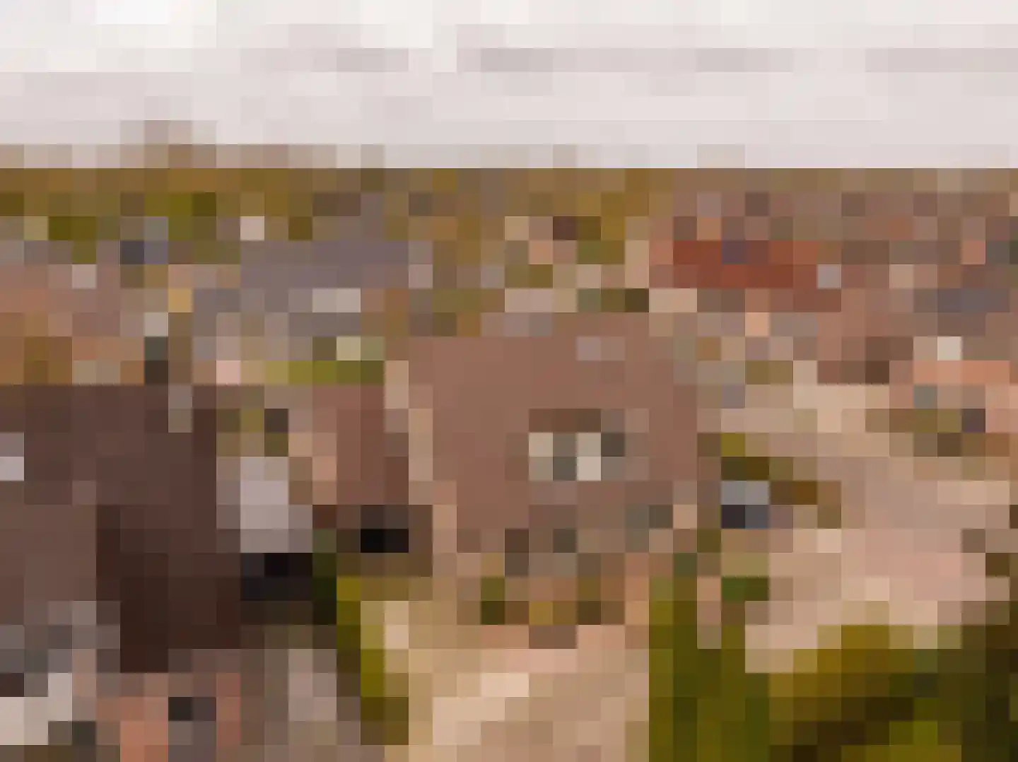 De Beugel 4 Hoogeveen thumbnail 7