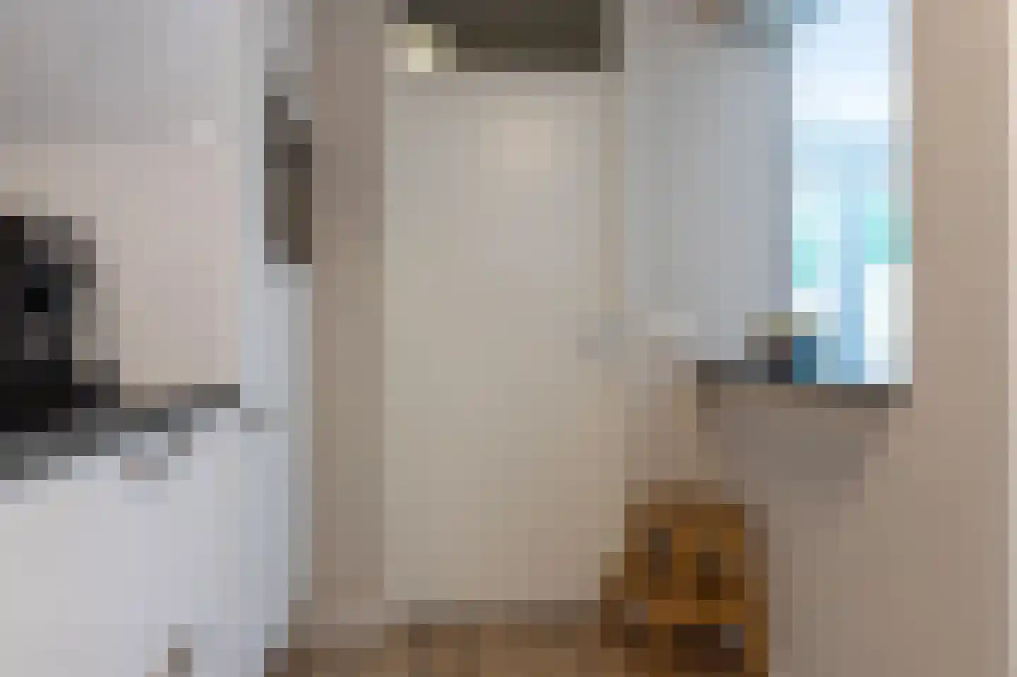 De beugel 5 Steenwijk thumbnail 15