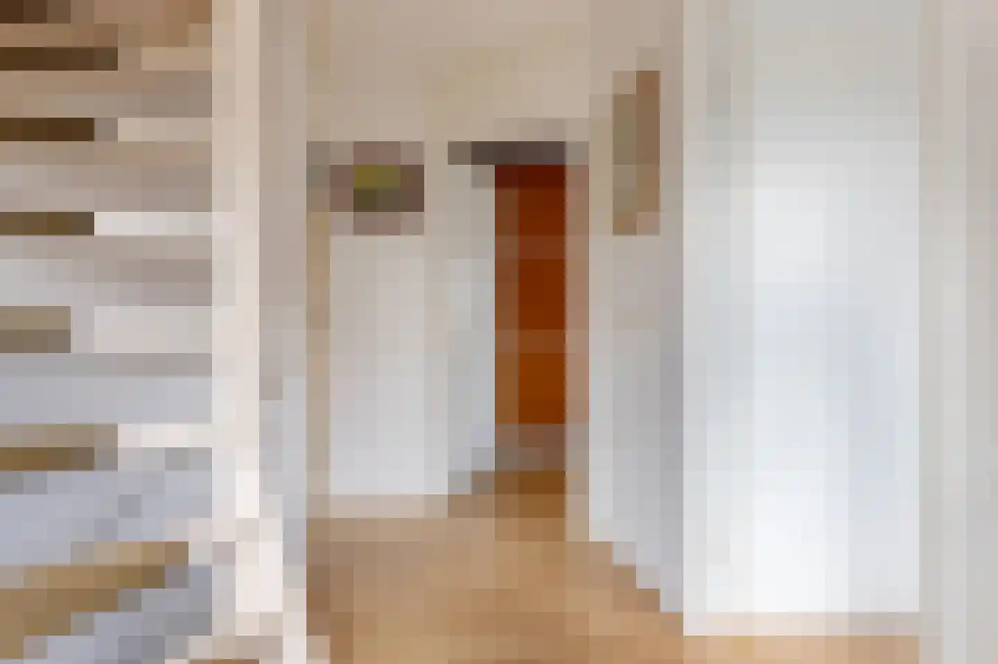 De beugel 5 Steenwijk thumbnail 25