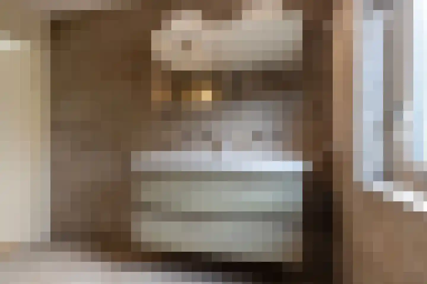 De beugel 5 Steenwijk thumbnail 33