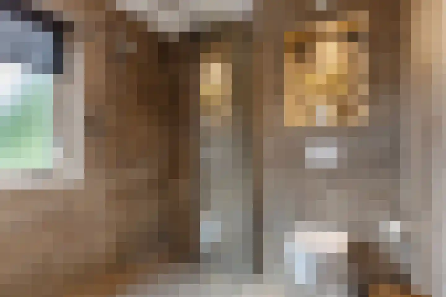 De beugel 5 Steenwijk thumbnail 34