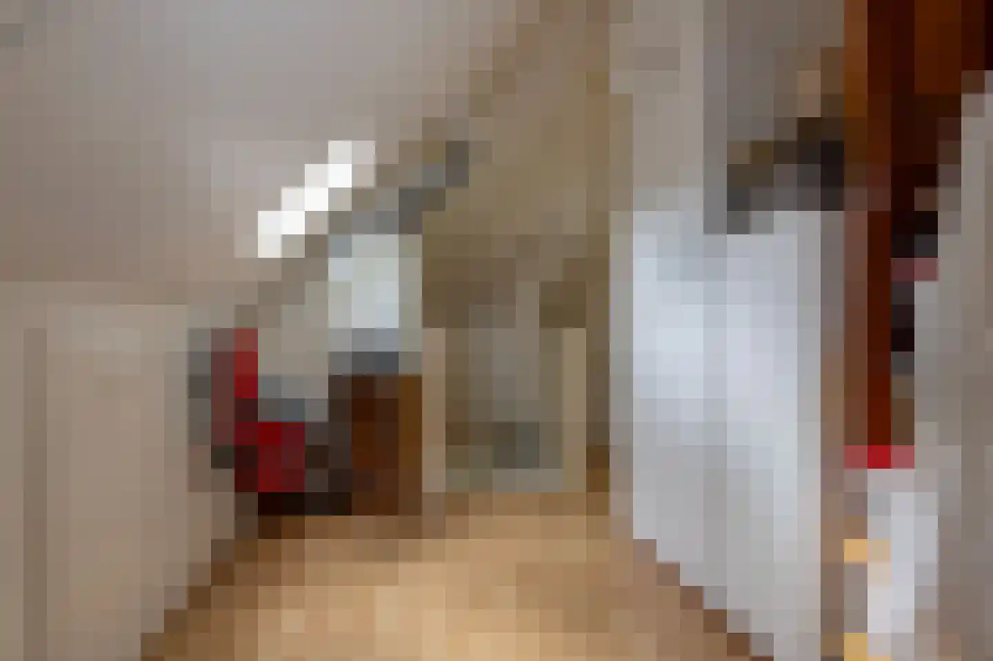 De beugel 5 Steenwijk thumbnail 37