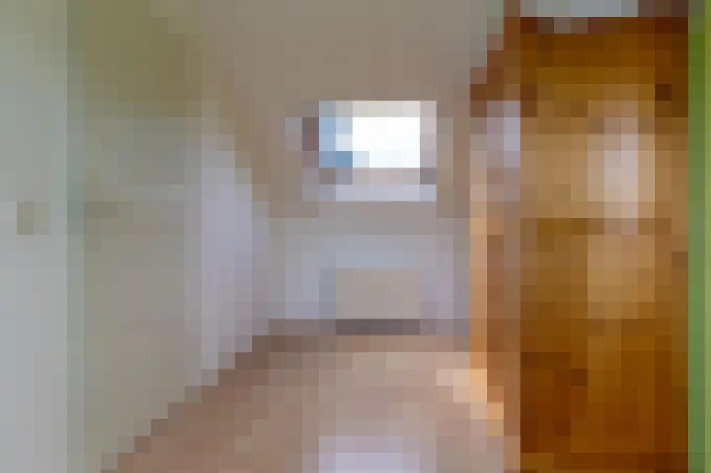 De beugel 5 Steenwijk thumbnail 39