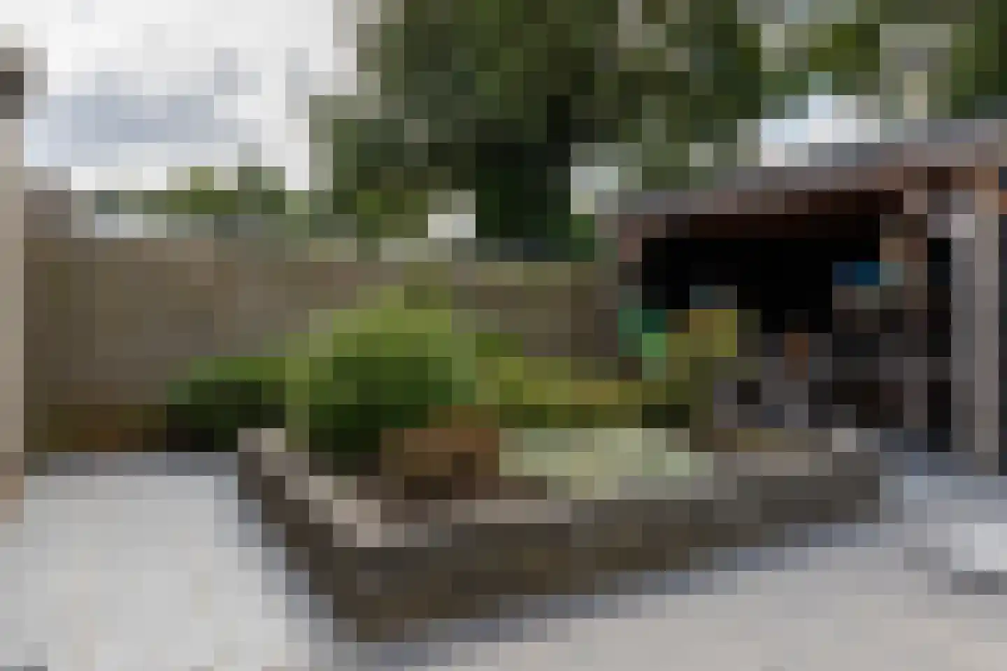 De beugel 5 Steenwijk thumbnail 46