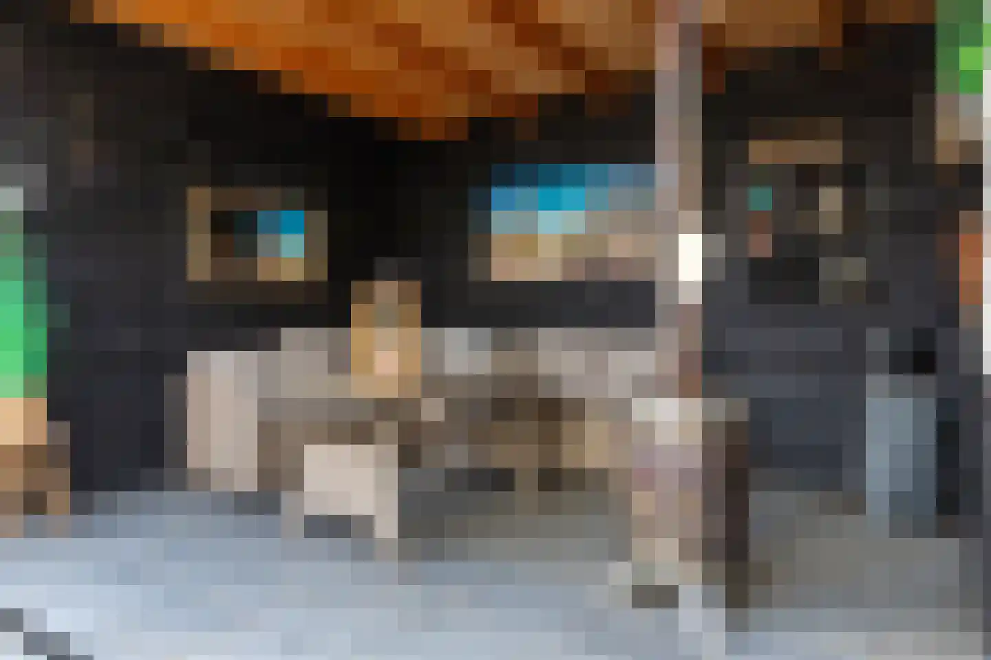 De beugel 5 Steenwijk thumbnail 47
