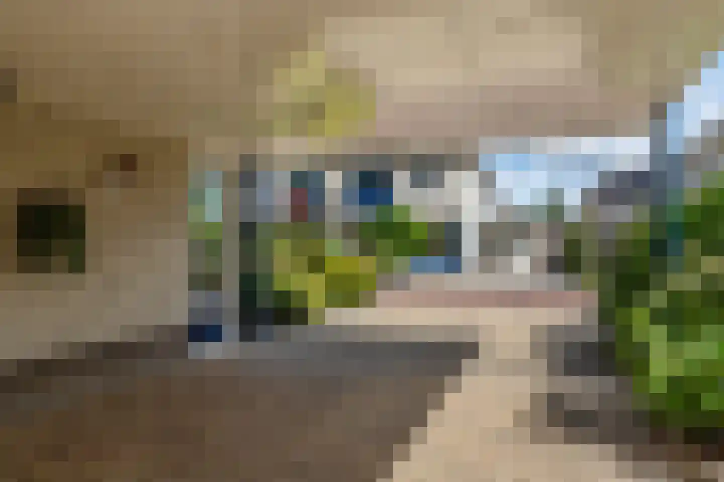 De beugel 5 Steenwijk thumbnail 52