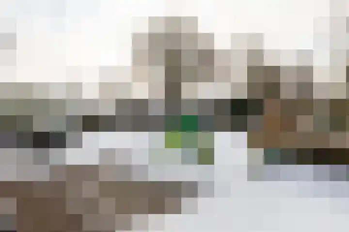 De beugel 53 Steenwijk thumbnail 47