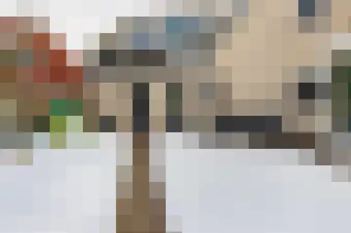 De beugel 53 Steenwijk thumbnail 62