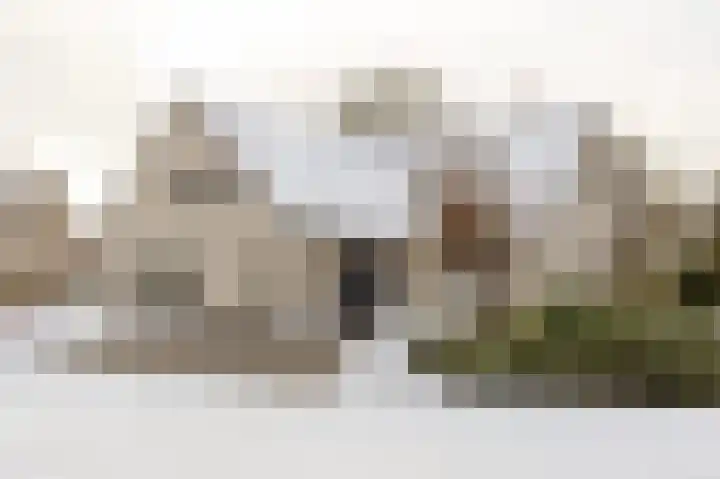 De beugel 53 Steenwijk thumbnail 69