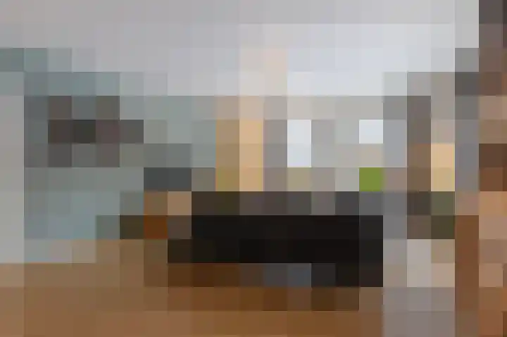 De beugel 53 Steenwijk thumbnail 7