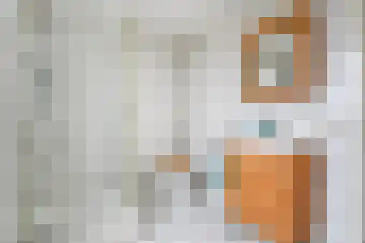 De beugel 8 Steenwijk thumbnail 32