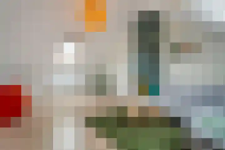 De beugel 8 Steenwijk thumbnail 37