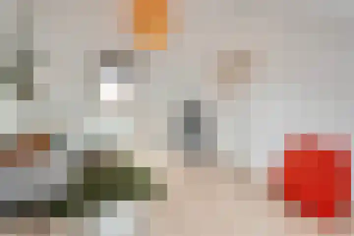 De beugel 8 Steenwijk thumbnail 38