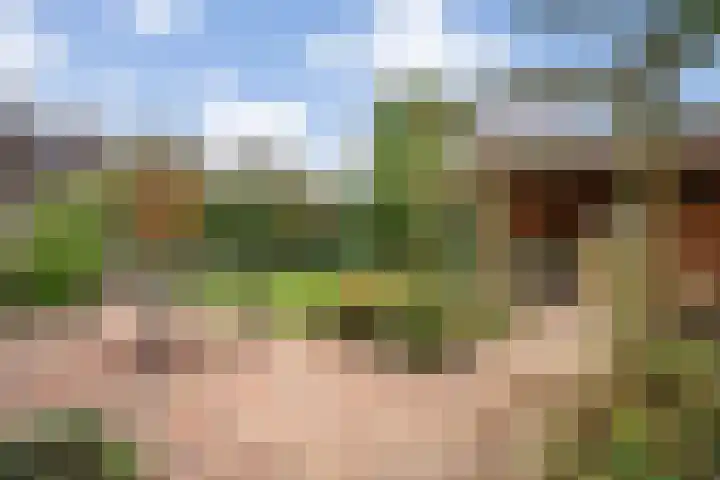 De beugel 8 Steenwijk thumbnail 41
