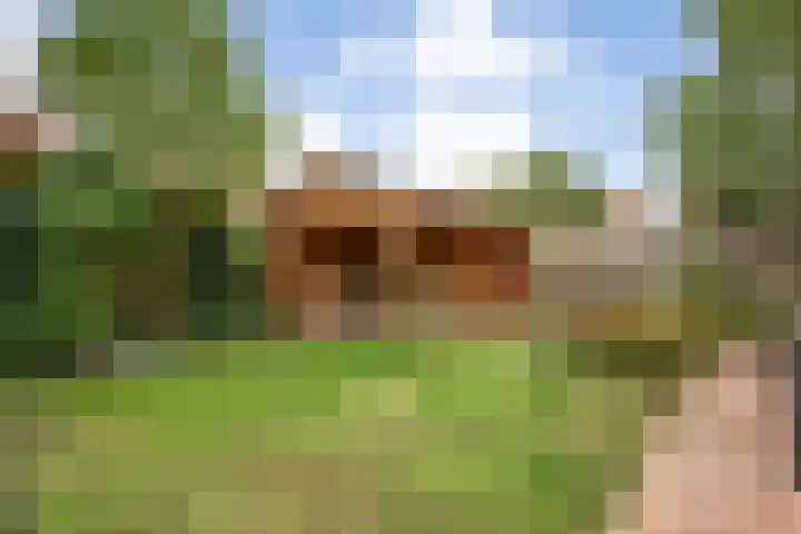 De beugel 8 Steenwijk thumbnail 42
