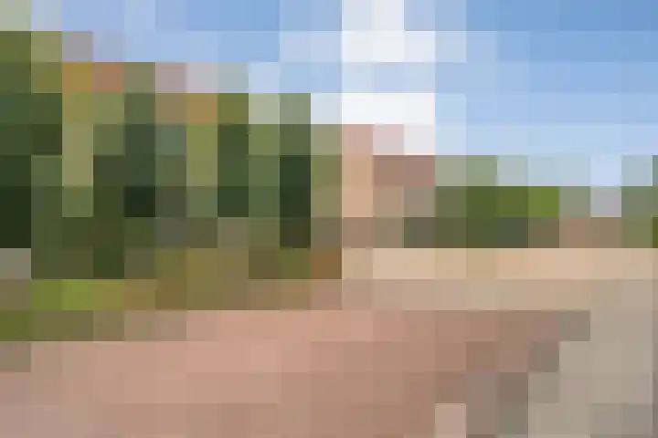 De beugel 8 Steenwijk thumbnail 45