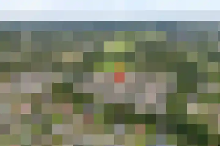 De beugel 8 Steenwijk thumbnail 5