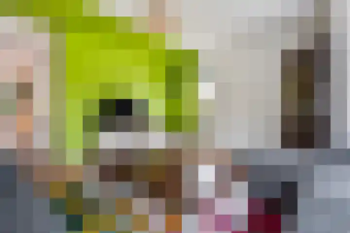 De beugel 8 Steenwijk thumbnail 9