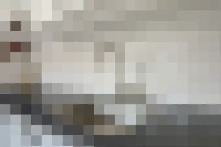 de Beuk 13 Didam thumbnail 15