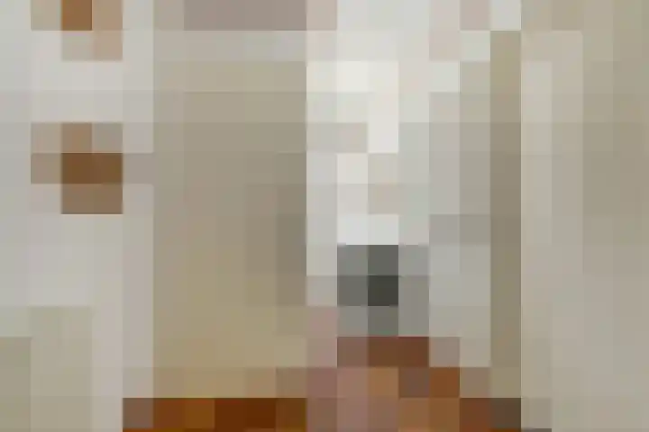 de Beuk 13 Didam thumbnail 18