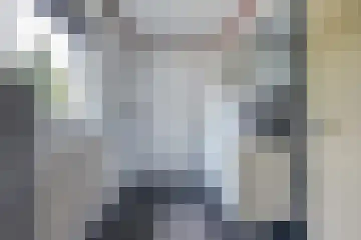 de Beuk 13 Didam thumbnail 28