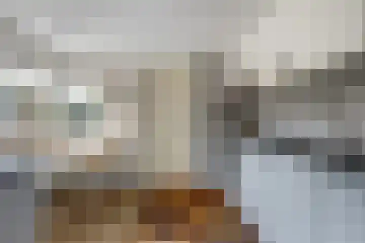 de Beuk 13 Didam foto 3