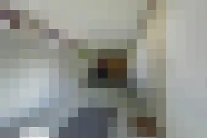 de Beuk 13 Didam thumbnail 37