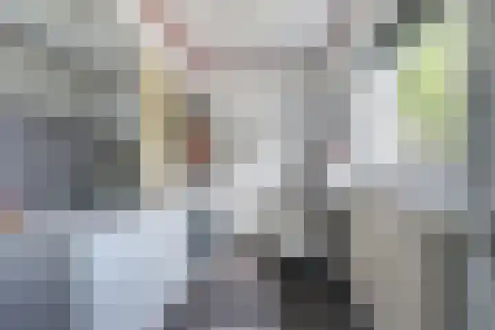 de Beuk 13 Didam thumbnail 4