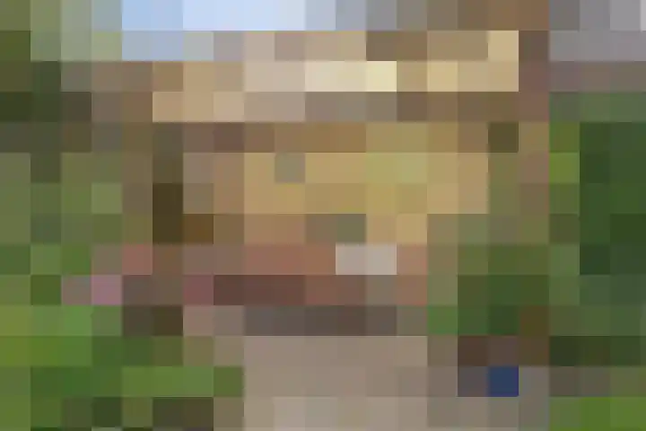 de Beuk 13 Didam thumbnail 42