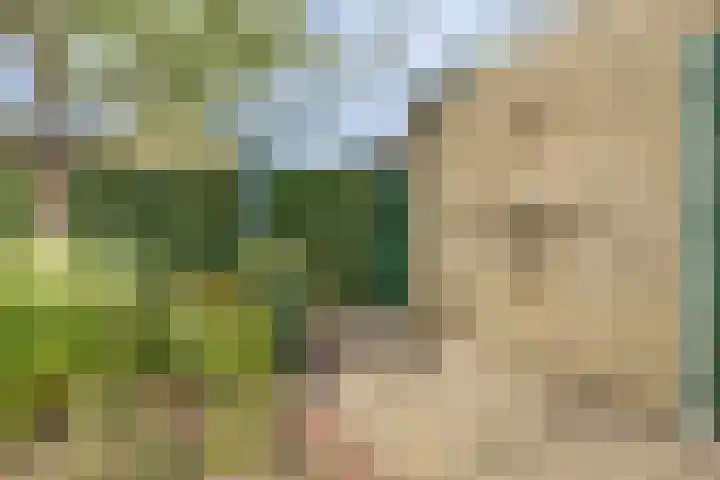 de Beuk 13 Didam thumbnail 46