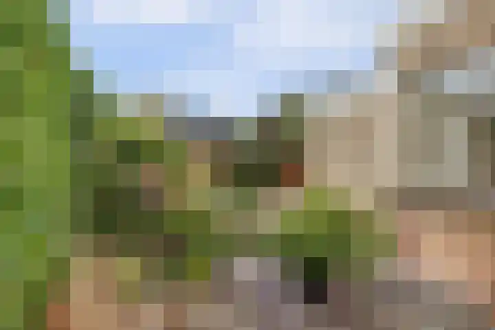 de Beuk 13 Didam thumbnail 48