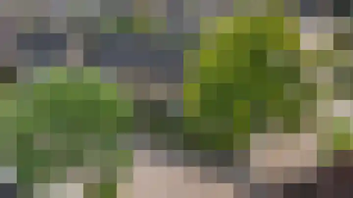 de Beuk 13 Didam thumbnail 52