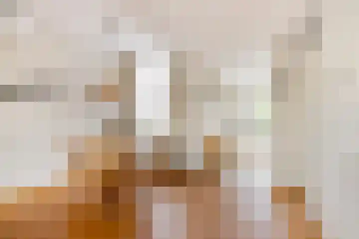 de Beuk 13 Didam thumbnail 53