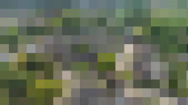 de Beuk 13 Didam thumbnail 53