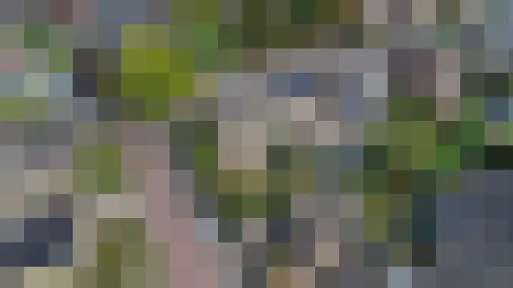 de Beuk 13 Didam thumbnail 57