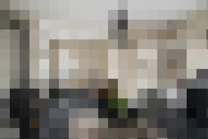 de Beuk 13 Didam thumbnail 59