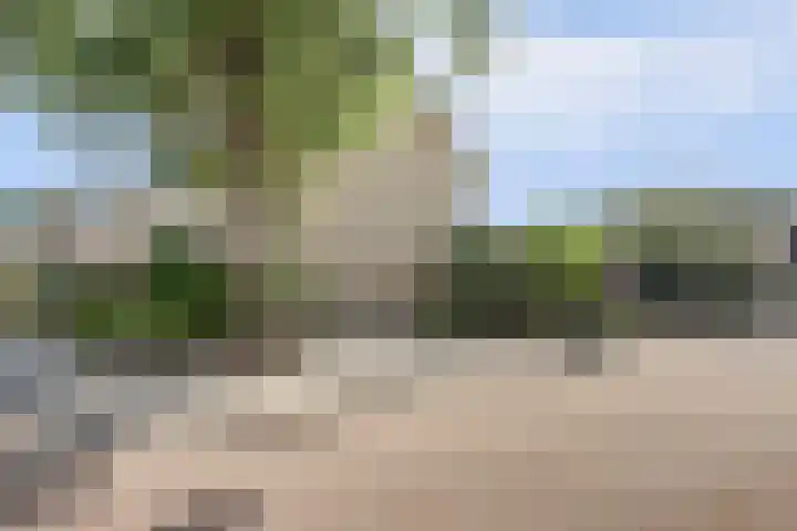 de Beuk 13 Didam thumbnail 61