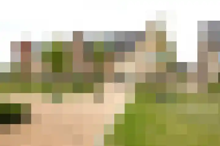 de Beuk 13 Didam thumbnail 8