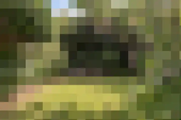 de Beuk 26 Didam thumbnail 11