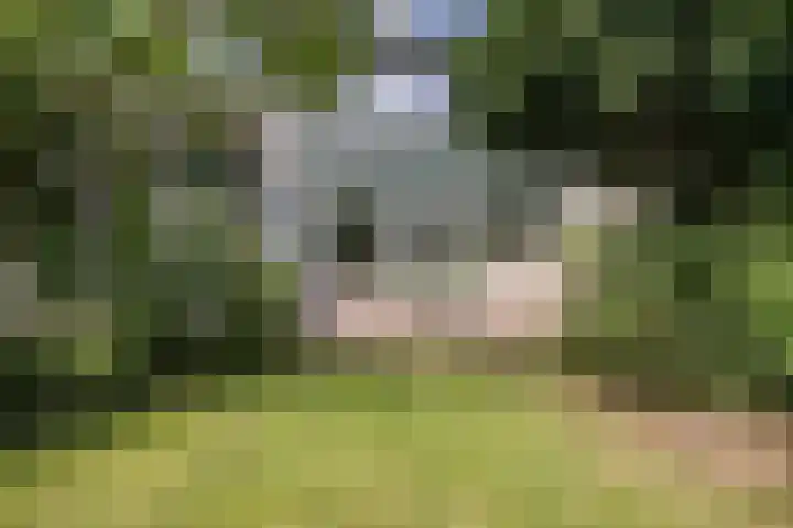 de Beuk 26 Didam thumbnail 13