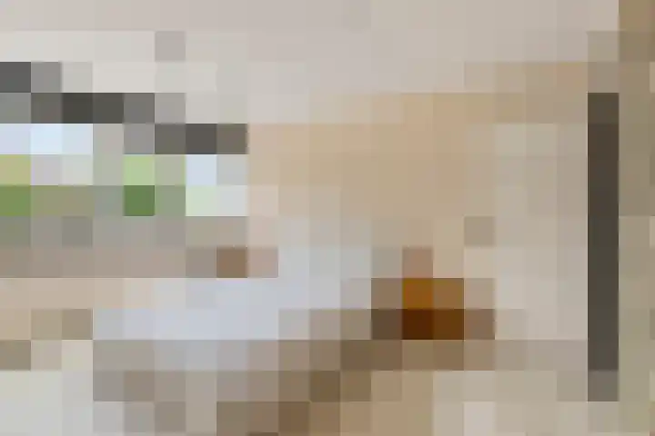 de Beuk 26 Didam thumbnail 18