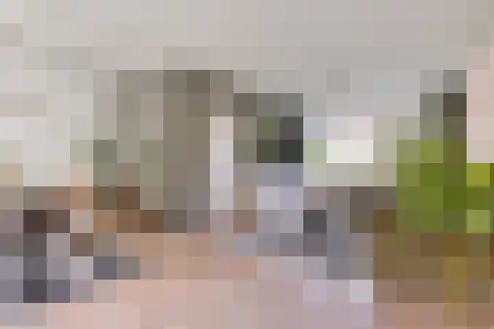 de Beuk 26 Didam foto 2
