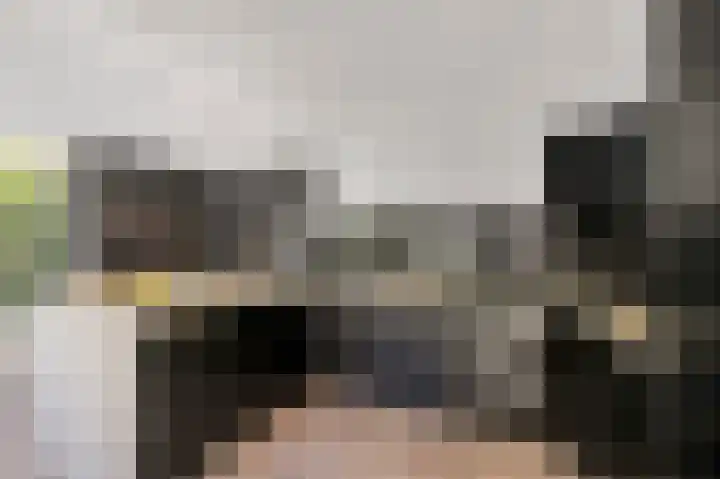 de Beuk 26 Didam thumbnail 6