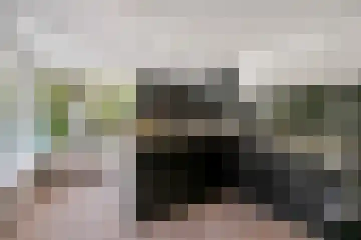 de Beuk 26 Didam thumbnail 7