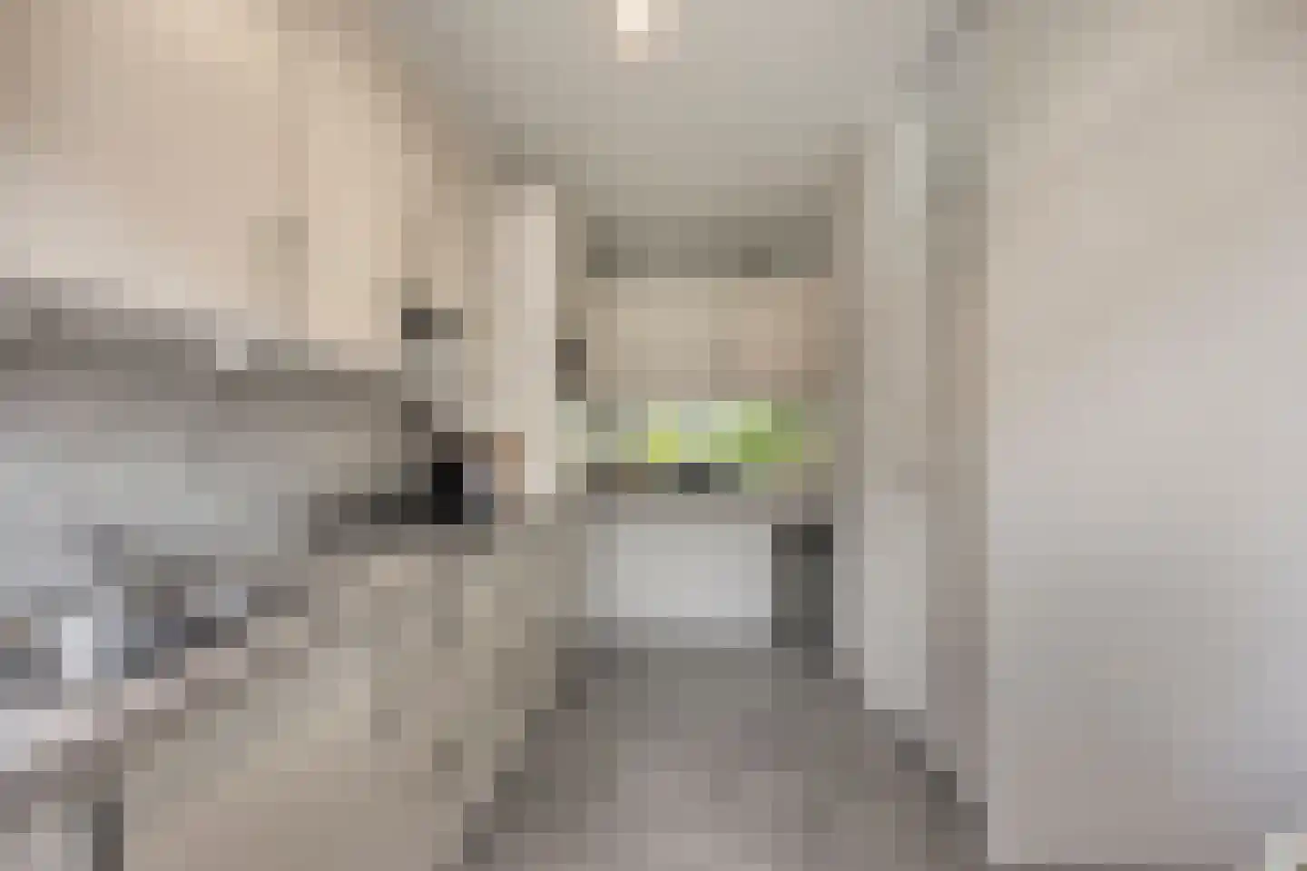 De Beuk 33 Rhoon thumbnail 11