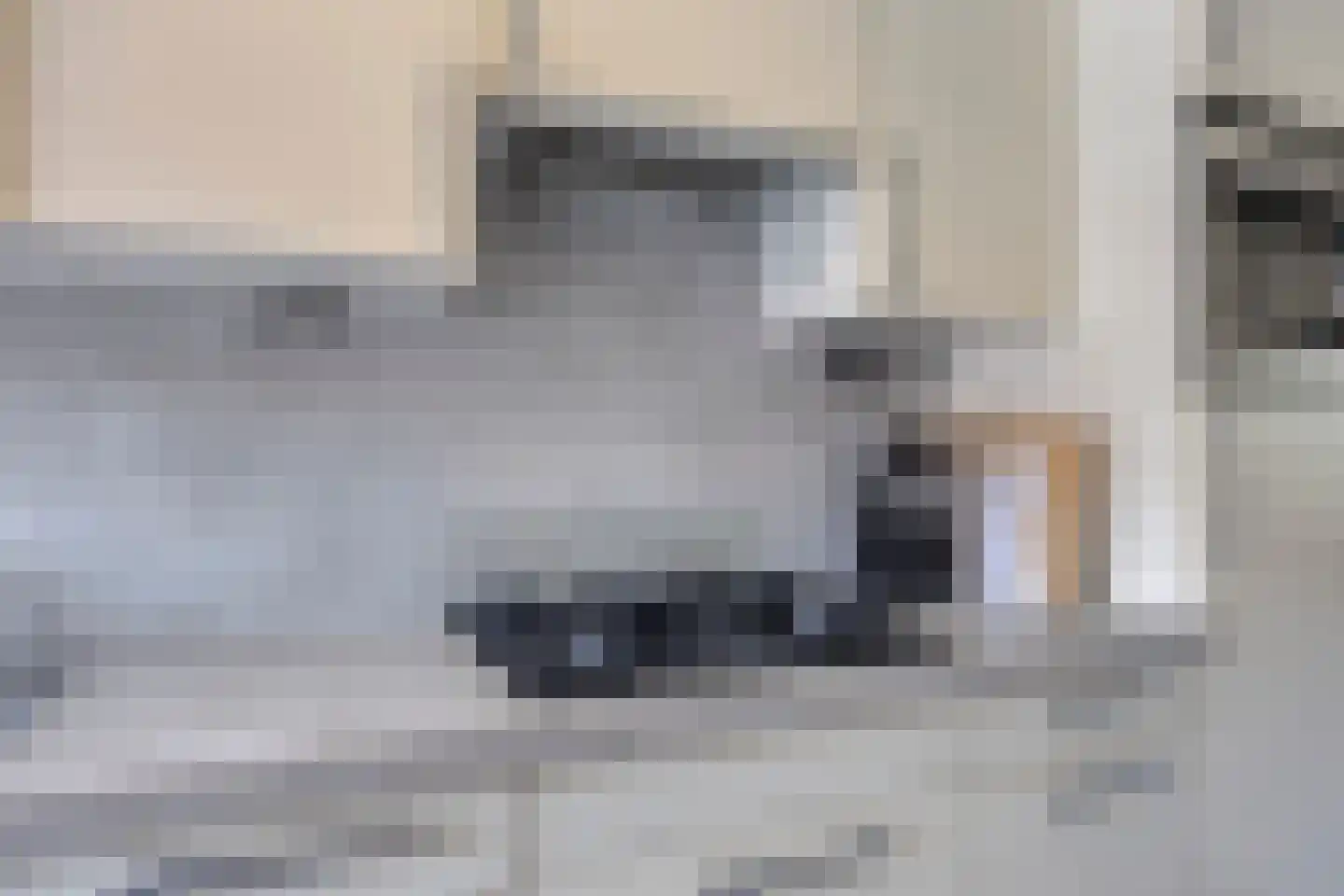 De Beuk 33 Rhoon thumbnail 13